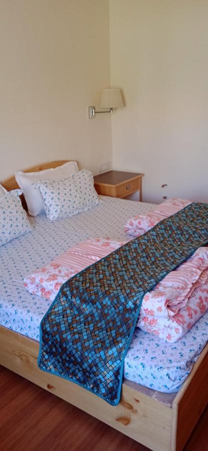 Lhardak Home Stay Leh Zewnętrze zdjęcie